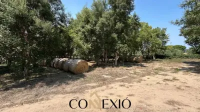 Rustic house in Palafrugell photo 22