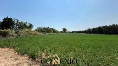 Rustic house in Palafrugell photo 6