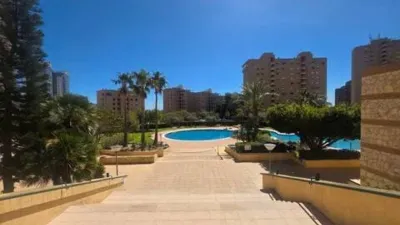 Apartment in Platja de Ponent photo 25