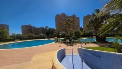 Apartment in Platja de Ponent photo 26