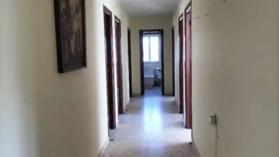 Apartment in Ribeira photo 12