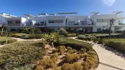 Piso – Orihuela - Más