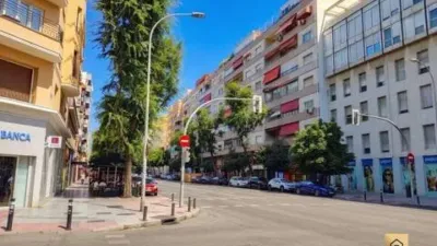 Flat on Calle de Fernández de los Ríos photo 38
