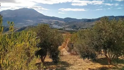 Rustic House in El Burgo photo 18