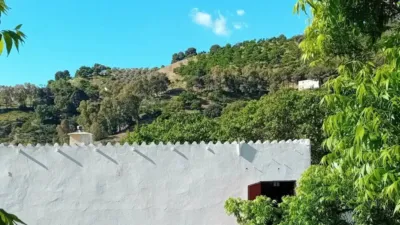 Rustic house in Yunquera photo 17