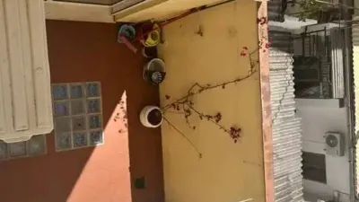 Chalet in Aldaia photo 32