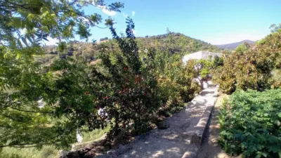 Rustic house in Yunquera photo 32