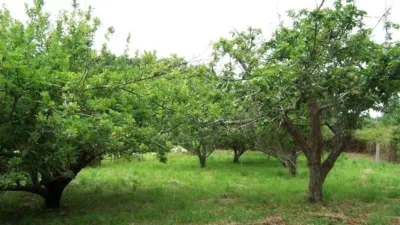 Terreno en venta en Lugar de Campanario - Vista 4