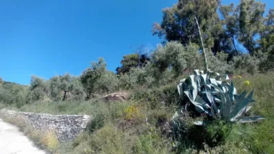 Rustic house in Yunquera photo 37
