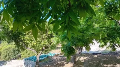 Rustic house in Yunquera photo 16