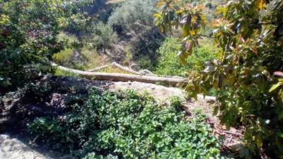 Rustic house in Yunquera photo 35