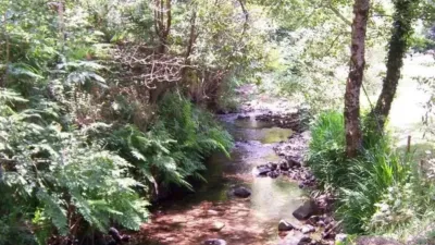 Terreno en venta en Lugar de Campanario - Más