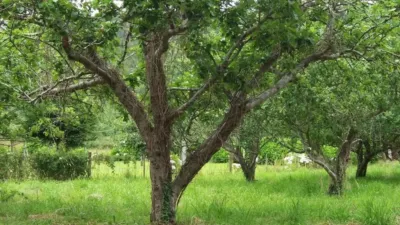 Terreno en venta en Lugar de Campanario - Vista 5