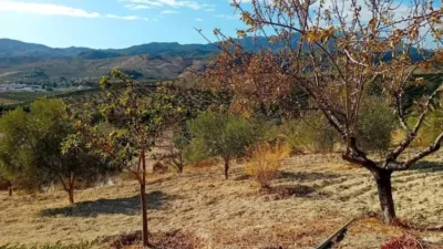 Rustic House in El Burgo photo 15