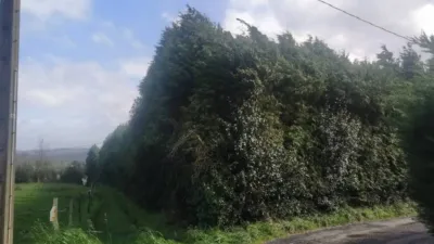 Terreno en venta en Calle Lugar Barral, 24 - Més