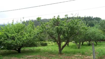Terreno en venta en Lugar de Campanario - Vista 3
