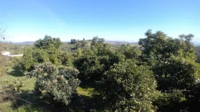 Chalet in Alozaina photo 44