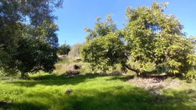 Chalet in Alozaina photo 48