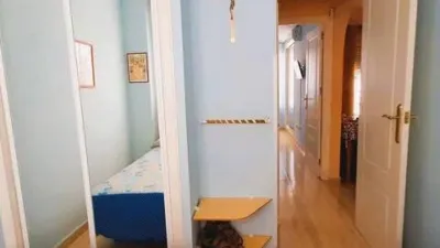 Apartment in the City Centre photo 14