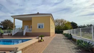 Chalet in Oliva photo 54