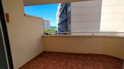 Apartment in Gandia photo 3