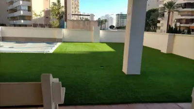 Apartment in Gandia photo 6