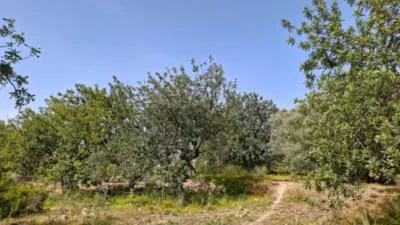 Terreno en venta en Altea - Más