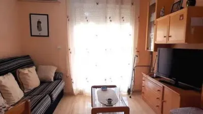 Apartment in the City Centre photo 5
