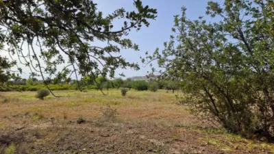 Terreno en venta en Altea - Vista 4