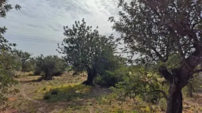 Terreno en venta en Altea - Vista 5