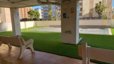 Apartment in Gandia photo 5