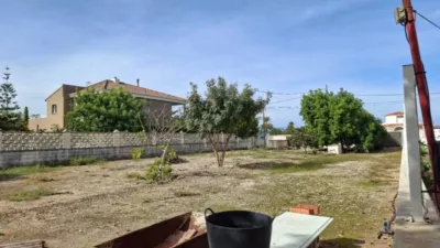 Chalet in Oliva photo 59