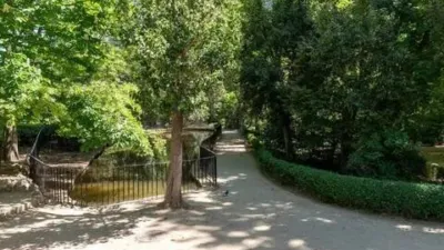 Apartment in the Salamanca District photo 12