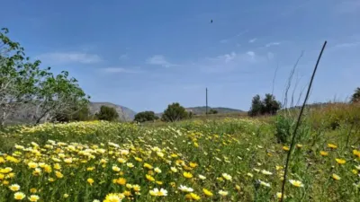 Casa – Teulada, la Marina Alta - Vista 5