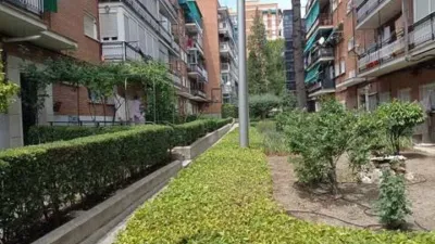 Flat on Calle de la Paloma photo 5