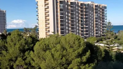 Apartment in Gandia photo 10