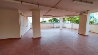 Apartment in Gandia photo 9