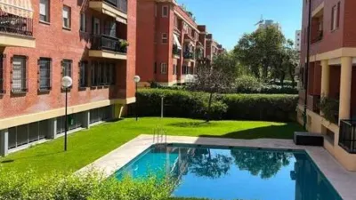 Apartment in Pineda-Pedro Salvador photo 8