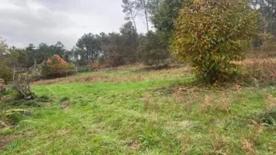 Chalet in Rianxo photo 30