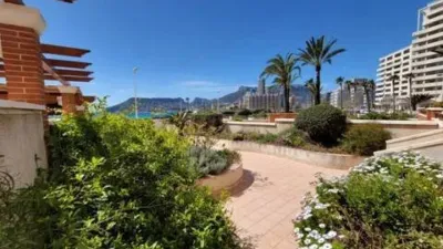 Apartment in Playa del Arenal Bol-Playa del Cantal Roig photo 33