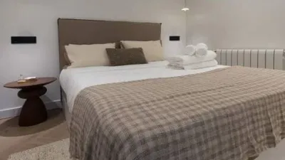 Apartment in Recoletos photo 23
