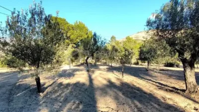 Terreno en venta en Relleu - Más
