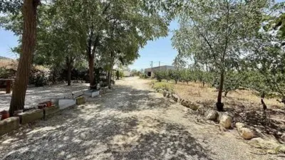 Piso – Villena, l'Alt Vinalopó / El Alto Vinalopó - Más