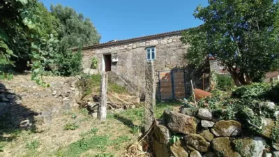 Chalet in Ribeira photo 3