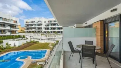 Pis – Orihuela, Molins - Vista 3