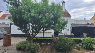 Chalet in Ribeira photo 3