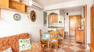 Penthouse on Avenida de Madrid photo 13