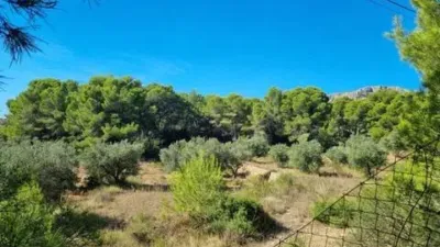 Terreno en venta en Las Adelfas-Benicolada-Garduix - Vista 2
