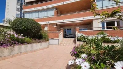 Apartment in Playa del Arenal Bol-Playa del Cantal Roig photo 39
