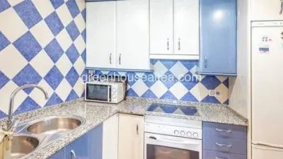 Penthouse on Avenida de Madrid photo 22